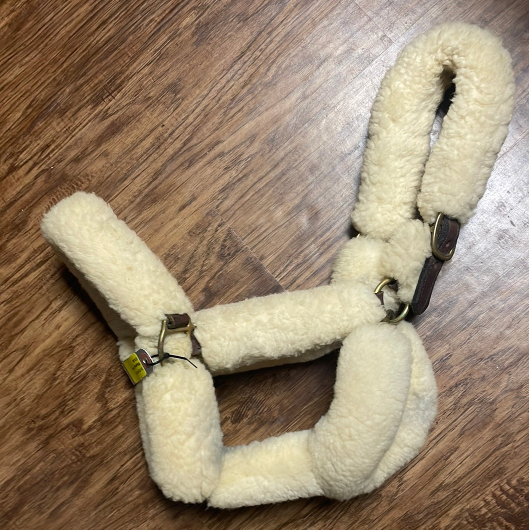 Shipping halter