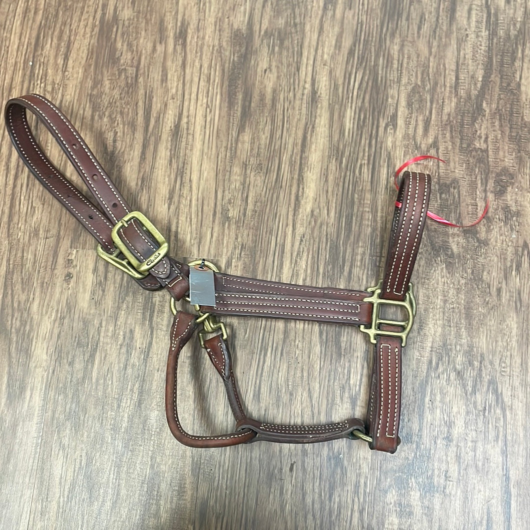 Walsh halter